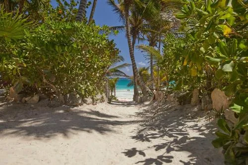 Beach access path at Dos Ceibas near Sunset Tulum